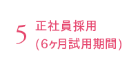 5. 正社員採用（6ヶ月試用期間）